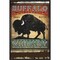 Buffalo Whiskey by Ryan Fowler 16-in. W x 23-in. H. Canvas Wall Art Print Framed in Black